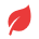 leaf 1 1